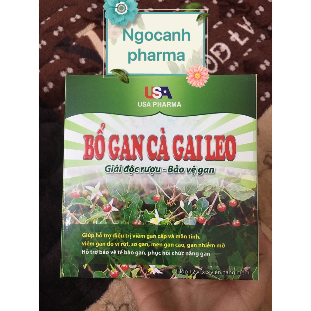 BỔ GAN CÀ GAI LEO - giúp giải độc gan,mát gan (12 vỉ x 5 viên)