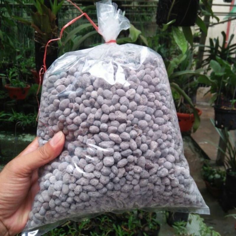1kg phân dê đã qua xử lý