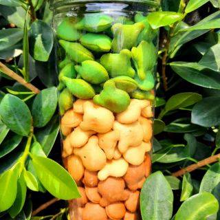 Bánh gấu mix 3 vị 450g