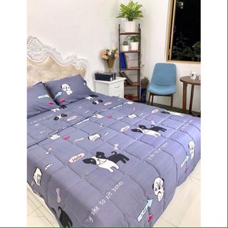 Set Chăn Trần Ga Gối Đũi(chat chọn mẫu)