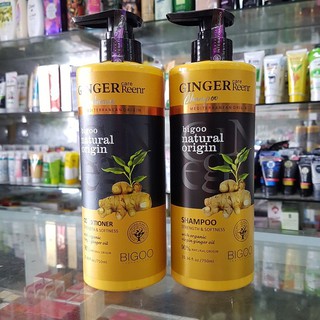 Dầu gội xả Gừng Ginger Reenr