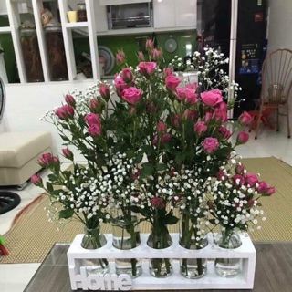 Set 5 lọ cắm hoa kèm kệ gỗ