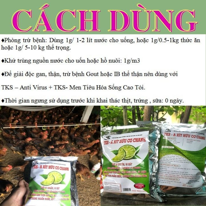 100G MEN TIÊU HÓA SỐNG CAO TỎI+100G A XÍT HỮU CƠ CHANH+100G ANTI VIRUS: Men Vi Sinh Hỗ Trợ Chăn Nuôi