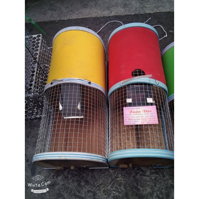 Lồng Bắt Chuột Thông Minh Size 20cm-50cm