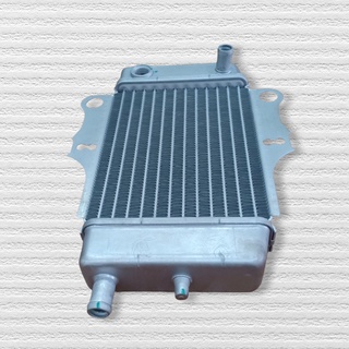 Két Nước làm mát cho xe Dylan - 8654