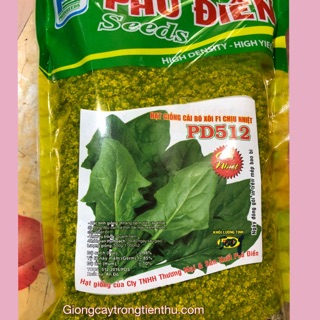 HẠT GIỐNG CẢI BÓ XÔI F1 CHỊU NHIỆT