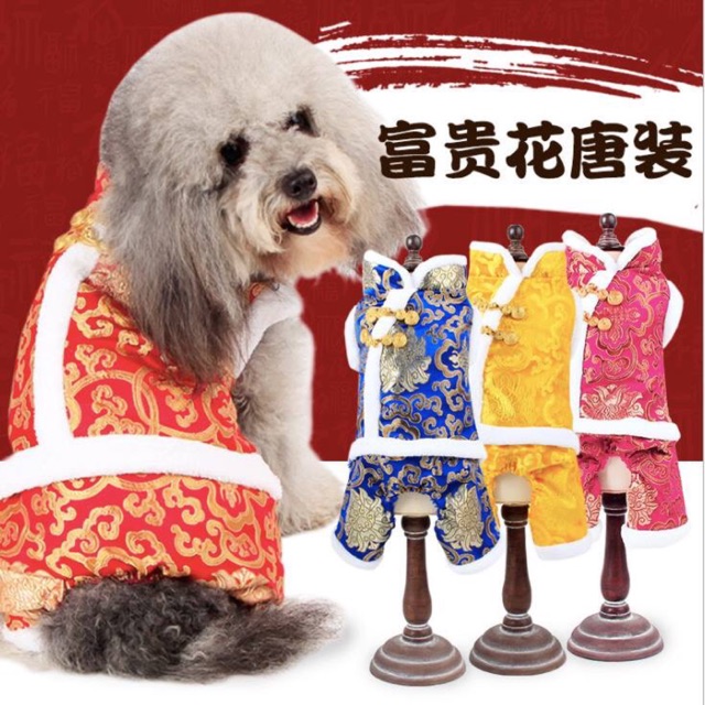 Áo tết cho thú cưng