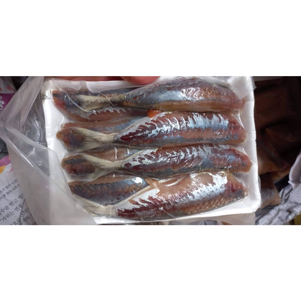 ship hỏa tốc_ cá nục 1 nắng_ khay 500g