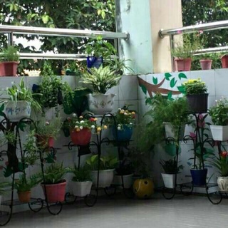 kệ để chậu hoa cây cảnh siêu hót (6tầng)