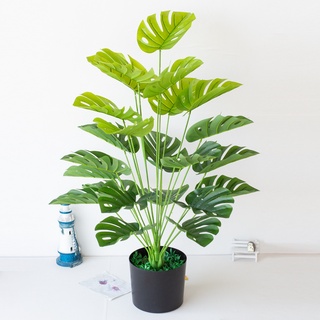 Cây Rùa - Lá Trúc Lưng Rùa đại cao 54cm -105cm - Cây nhựa PVC giả trang trí nội thất nhà cửa, cửa tiệm