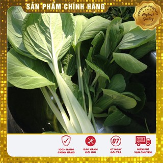 Hạt Giống Cải Chíp Cao Sản(20gr)