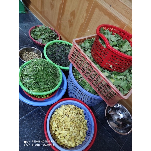 Siro quất húng chanh đường phèn 500ml