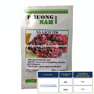 0,5GR - HẠT GIỐNG XÀ LÁCH TÍM