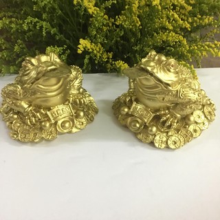 combo cặp cóc thiềm thừ phong thủy màu vàng