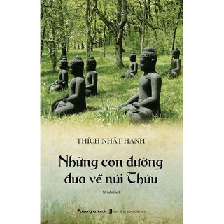Sách - Những con đường đưa về núi Thứu - Phương Nam Books
