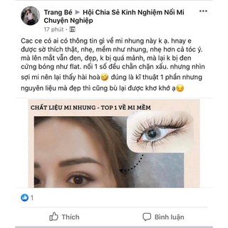 MI NHUNG TPT