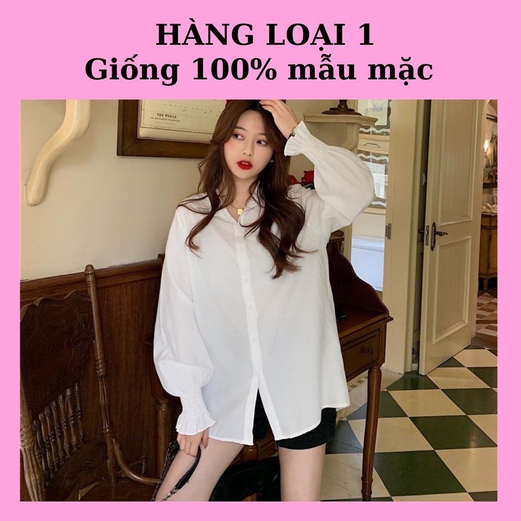 Áo Sơ Mi Nữ Form Rộng Kiểu Công Sở Dài Tay Phồng Bo Chun Dáng Dài Hàn Quốc Vải Lụa Màu Trắng Cổ Đức Vintage MOLA | BigBuy360 - bigbuy360.vn