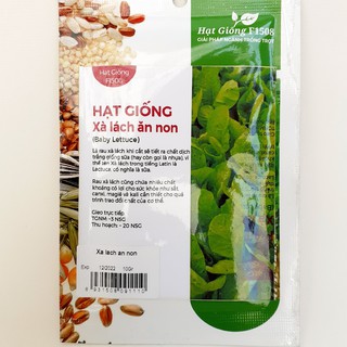 Hạt giống xà lách ăn non