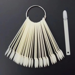 Móng Que Tròn Bầu Tập Sơn, Móng Mẫu