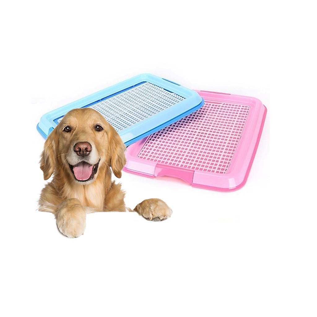 Khay vệ sinh cho chó lớn và nhỏ  - Tặng 3 tấm tã giấy -khay đi vệ sinh cho chó đực và chó cái