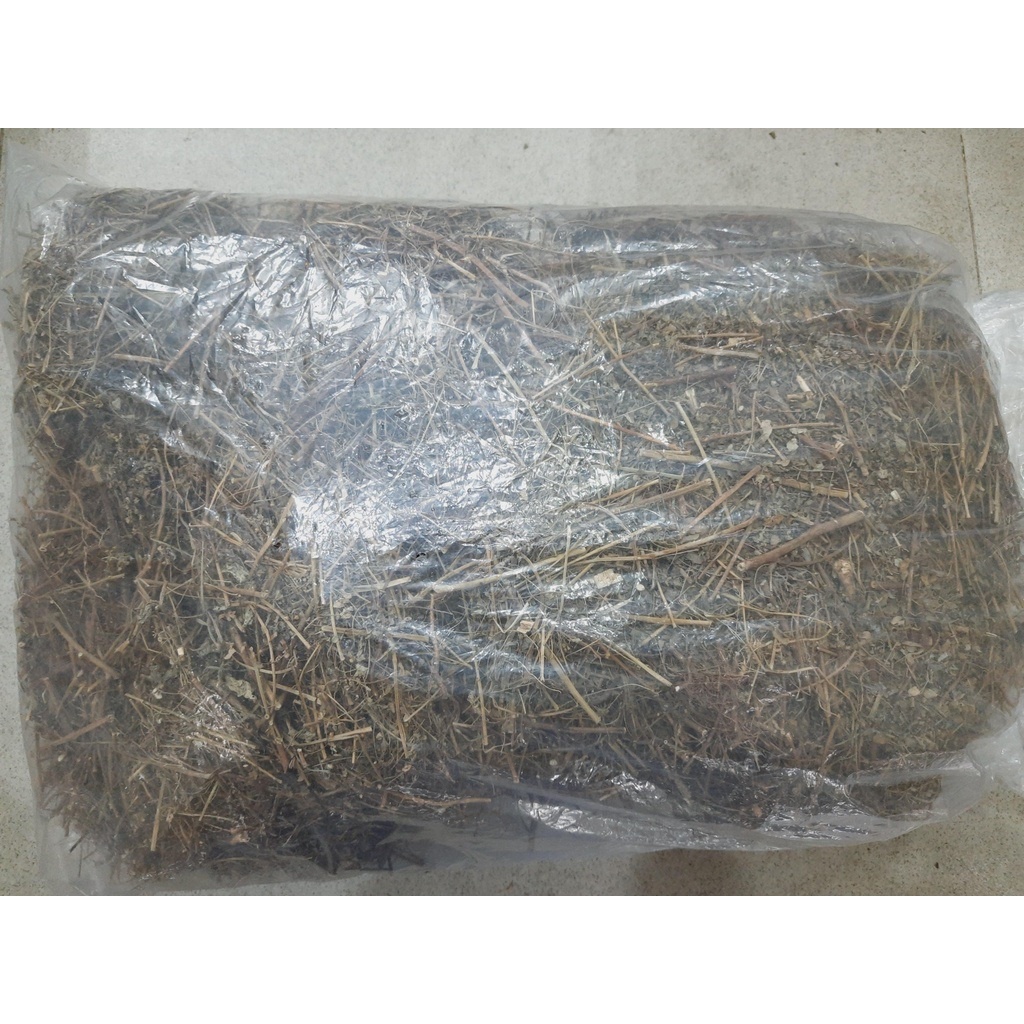 1Kg Chó Đẻ Răng Cưa [Diệp Hạ Châu] [hàng có sẵn]