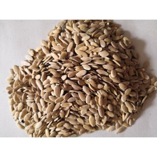 1 lạng hạt giống dưa bở