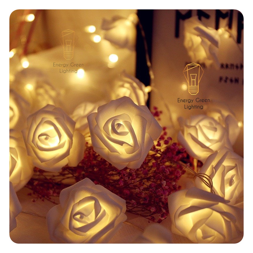 Đèn Dây Led Energy Green Lighting Trang Trí Hoa Hồng Trắng 4m 20 bông - Dùng Pin AA Và Cắm Điện Dây USB
