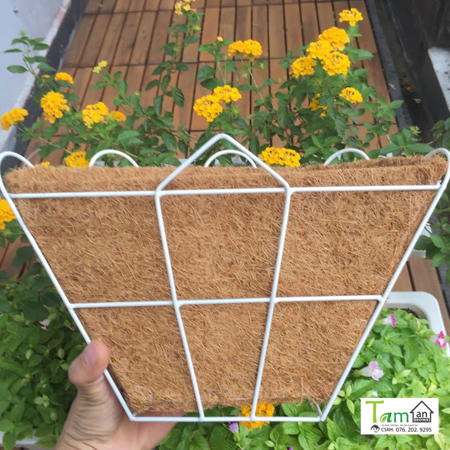 Chậu xơ dừa Taman Home, chậu trồng cây áp tường, chậu ốp tường, chậu treo tường size 32x22x18cm
