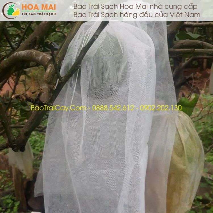 100 Túi bao trái Bưởi 30x35 lưới mùng - hàng chính hãng Hoa Mai