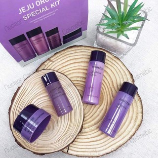 KIT INNISFREE HOA LAN TÍM ORCHID SPECIAL MINI