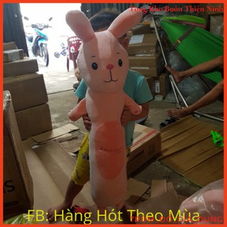 Gối Ôm/Gấu Bông Dễ Thương (Thỏ, Ếch, Khỉ, Sư Tử)
