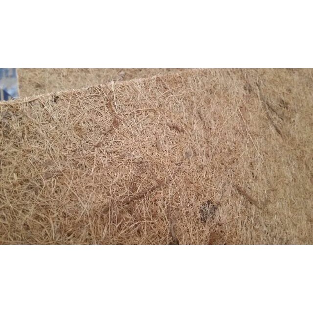 [SIEURE] Thảm xơ dừa trồng lan loại tốt 50x50 cm hàng đẹp, phân phối chuyên nghiệp.