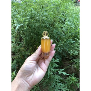 SON MÔI NGHỆ GẤC DẦU DỪA