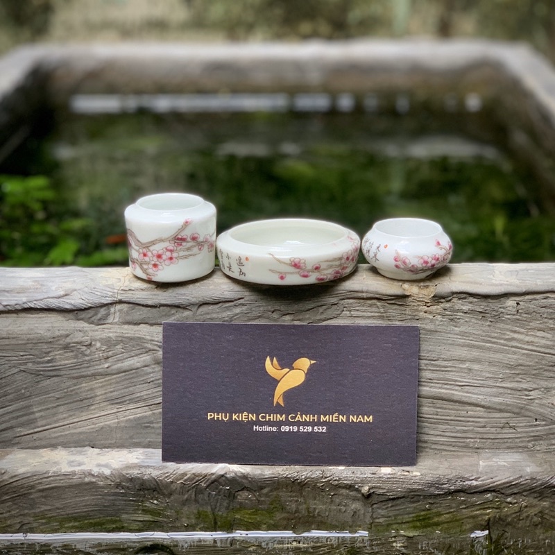 Cóng chim vẽ tay HOA - Cửu Chính Đường