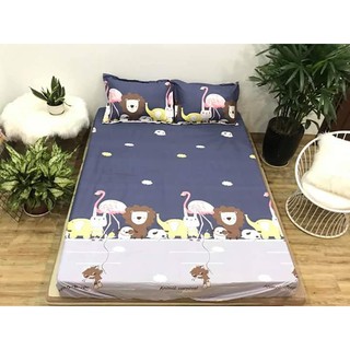 ga chống thấm cotton m8*2m ( đệm cao 5-10p)