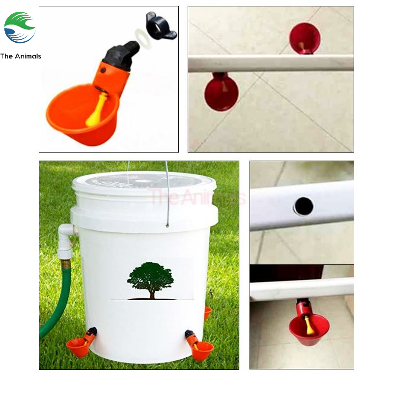 [COMBO 10 CÁI] Máng uống nước tự động cho gà - Cốc uống nước tự động - Bát uống nước tự động