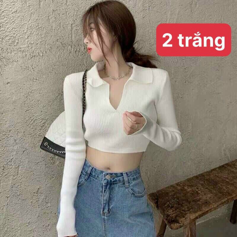 Áo croptop cổ V hở lưng tay dài_TTV2