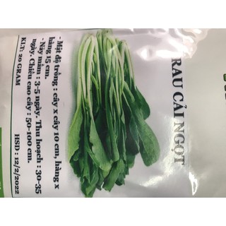 20 Gram Hạt giống Rau Cải Ngọt