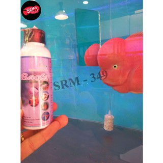 KHÁNG NẤM TRỊ ĐỤC MẮT CHO CÁ - BACTA