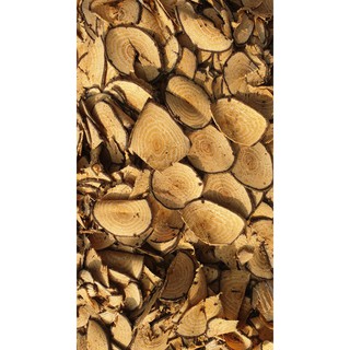 CÂY GẮM ( Vương Tôn)