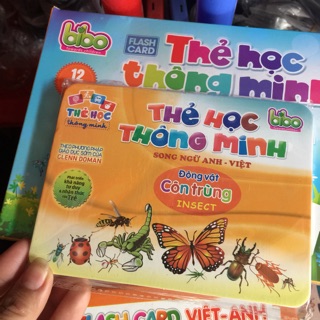 Bộ thẻ học thông minh loại 1 bộ to