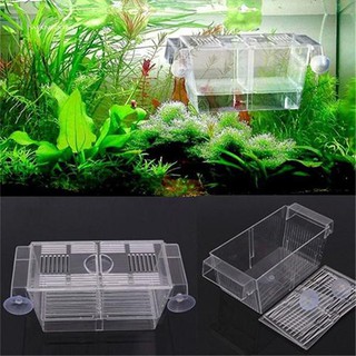 Hộp nhựa acrylic trong suốt 2 tầng nuôi cá ngăn chia tiện lợi