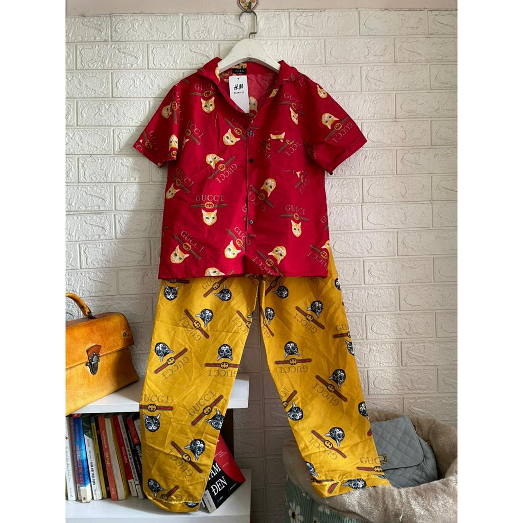 Bộ mèo mặc nhà
