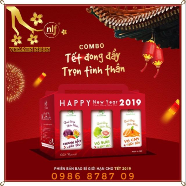 Giỏ Quà Tết 6 Hộp Bưởi Sấy Dẻo Chanh Dây Cam NLF