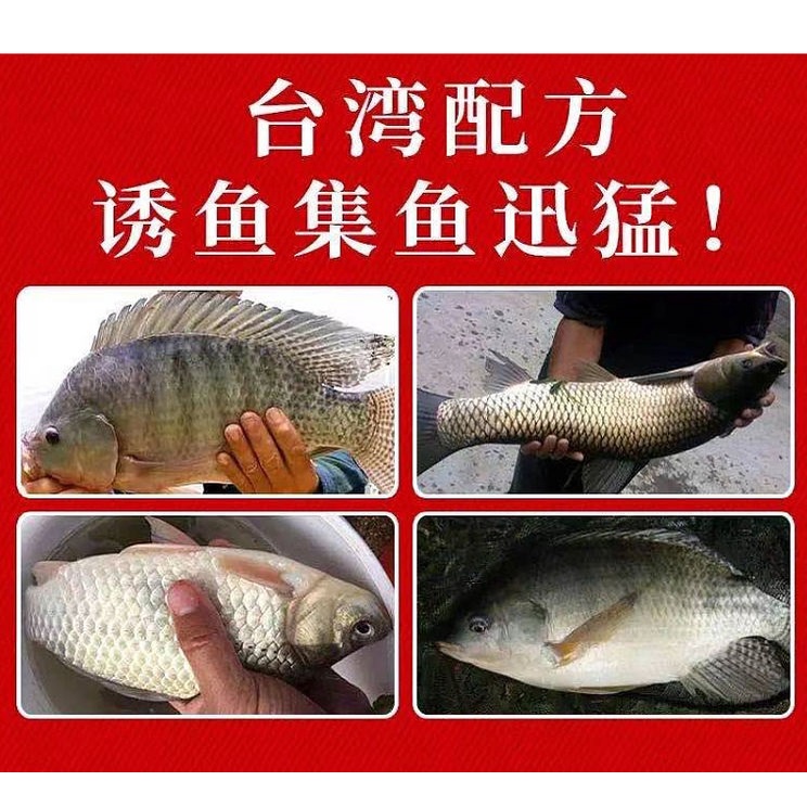 Tinh mùi câu cá chép, cá trắm, cá phi, cá diêu hồng,cá tra,...siêu nhạy. Tinh sữa trứng, Tam hợp nhất 135.
