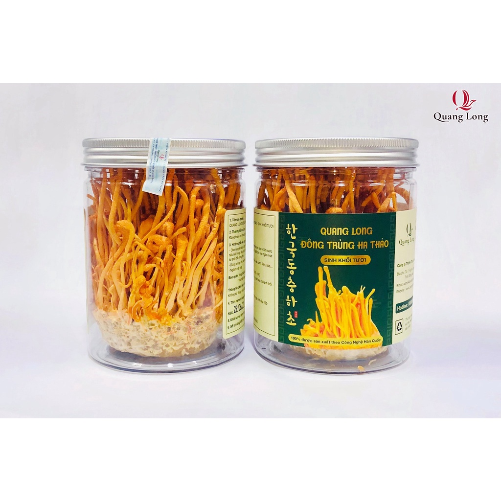 ĐÔNG TRÙNG HẠ THẢO QUANG LONG SINH KHỐI TƯƠI 130G | BigBuy360 - bigbuy360.vn