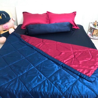 Drap phi lụa Thái Tuấn