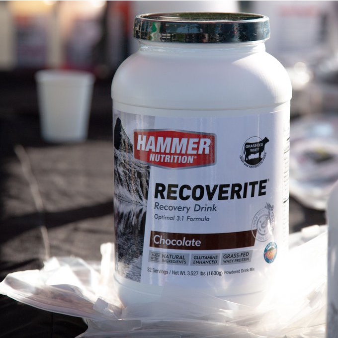 Sữa phục hồi cơ bắp Hammer Nutrition Recoverite 32 Serving  - Giảm đau nhức sau khi tập luyện, xây cơ hiệu quả