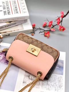#C0ACH CASSIDY PHỐI Da rắn