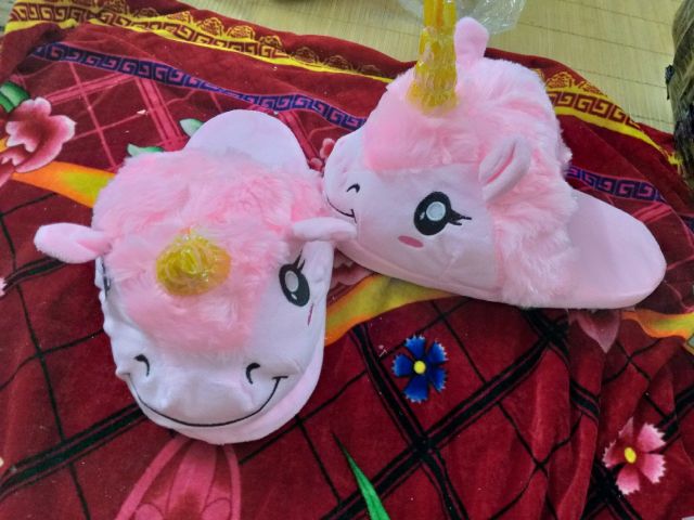 Dép thú mang trong nhà